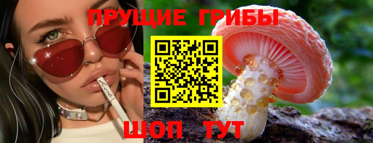 купить наркоту  Псилоцибиновые грибы Cubensis  Петрозаводск  Вход с VPN  Галлюциногенные грибы Psilocybine cubensis 